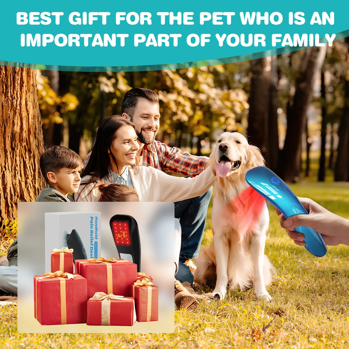 Portable Pet Cold Laser Therapy Device For Joint Pain Relief