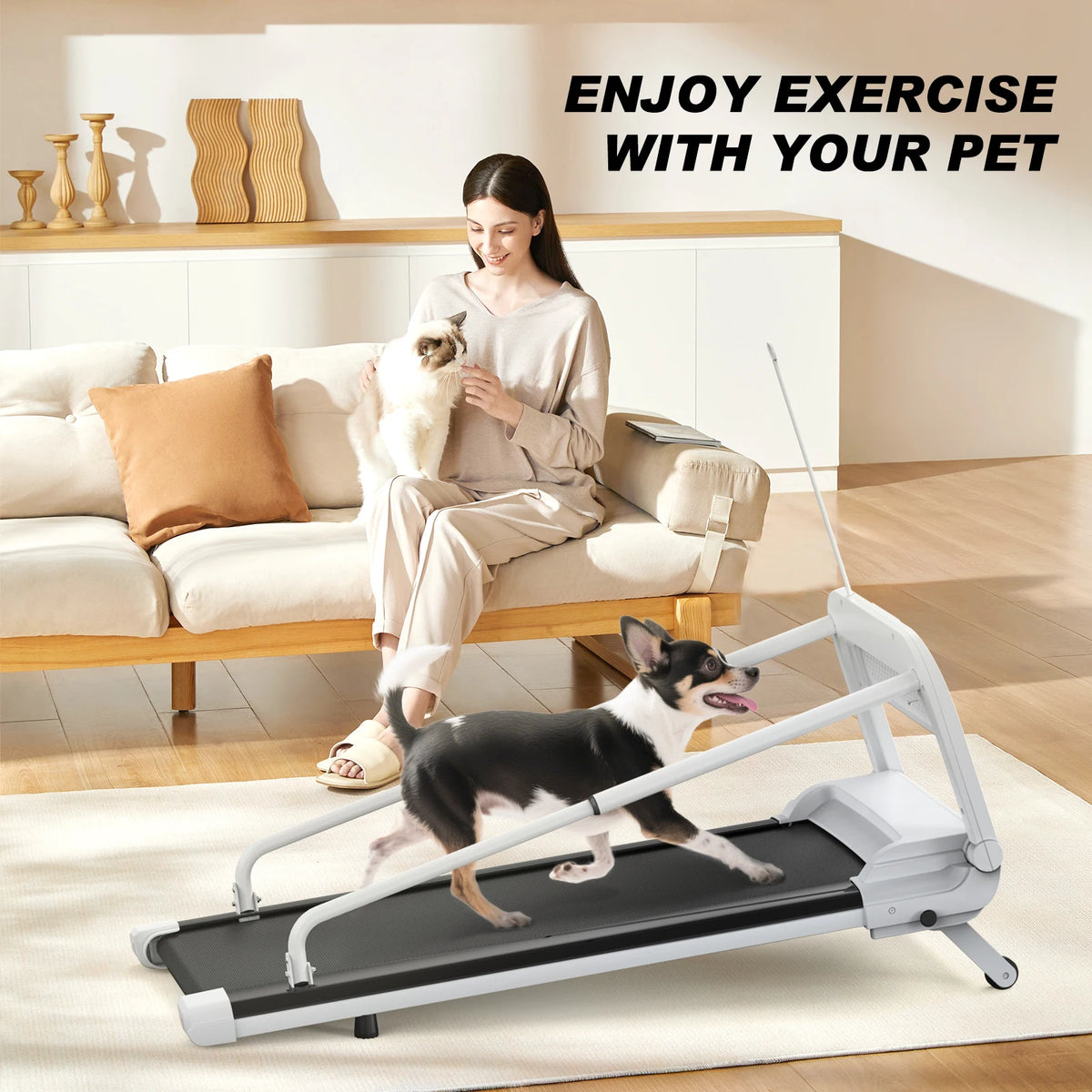 Quiet Smart Pet Treadmill With Adjustable Speed And Foldable Design