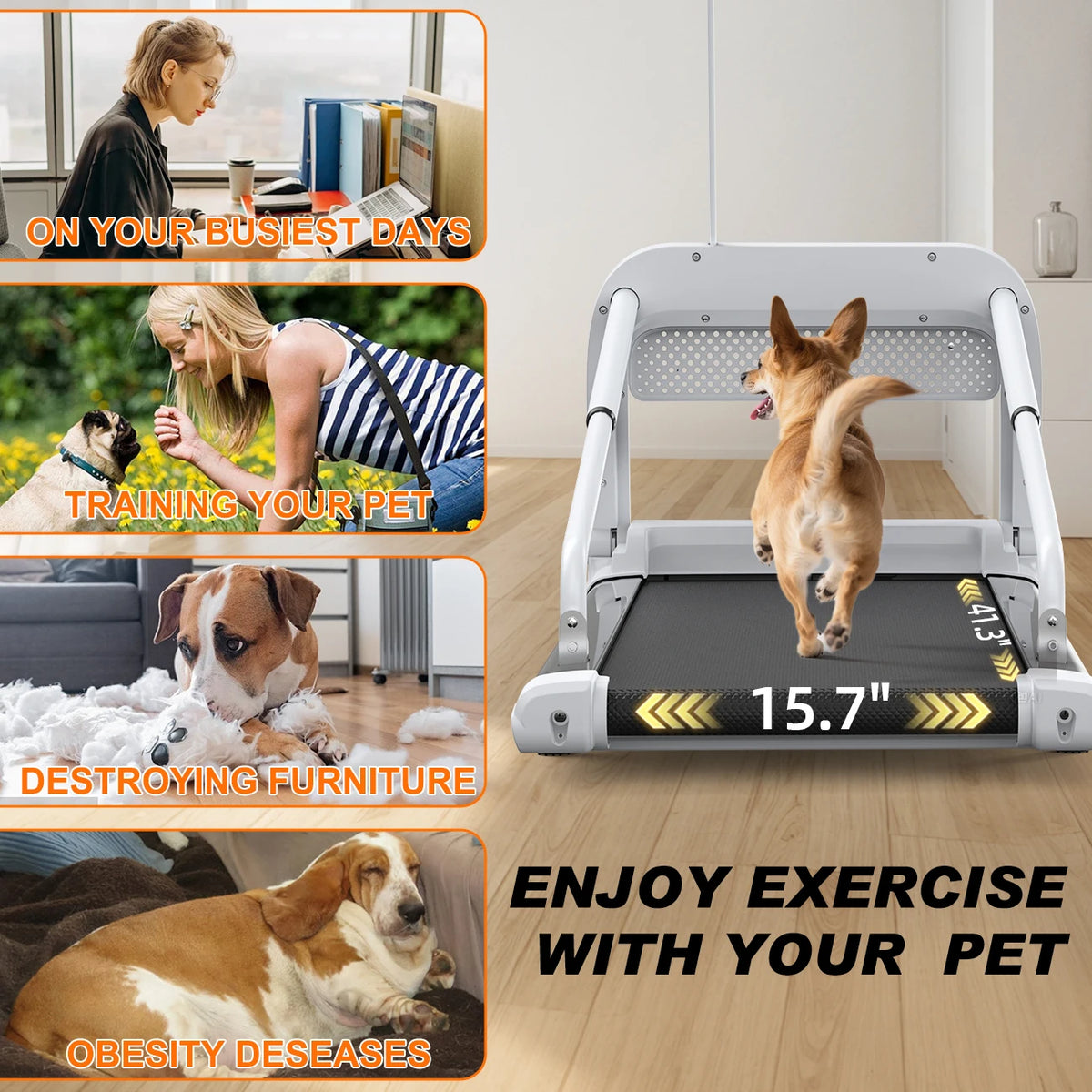 Quiet Smart Pet Treadmill With Adjustable Speed And Foldable Design