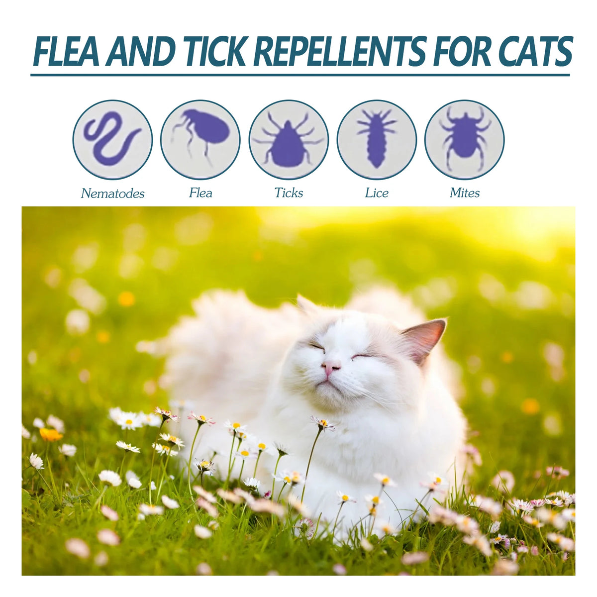 Yegbong Natural Flea And Tick Drops For Cats And Dogs