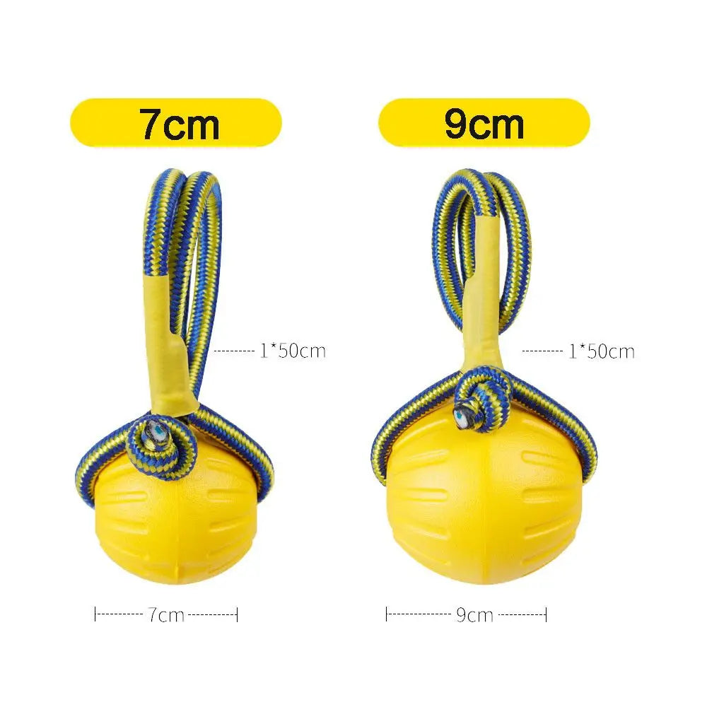 Indestructible Rubber Dog Ball Toy for Training Chewing and Fetch