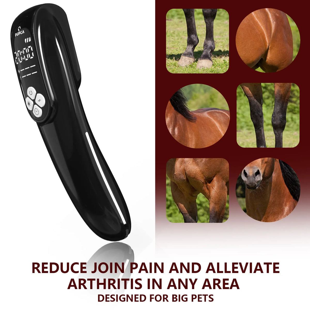 Portable 808nm Laser Red Light Therapy Device For Joint Relief