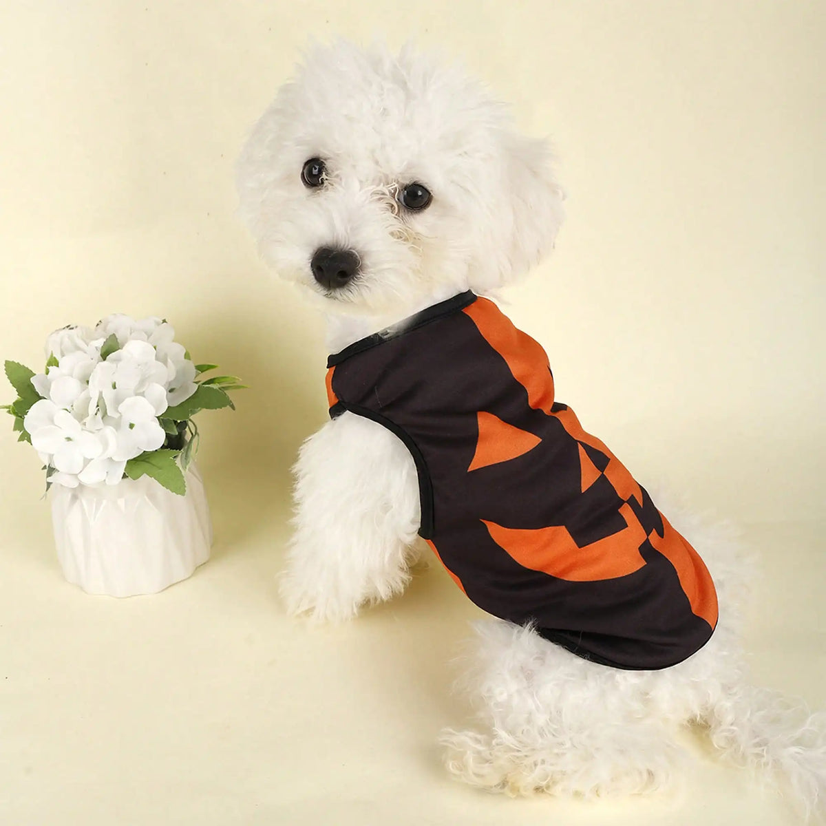 Pumpkin Print Dog Costume Shirt For Holiday Festival Parties