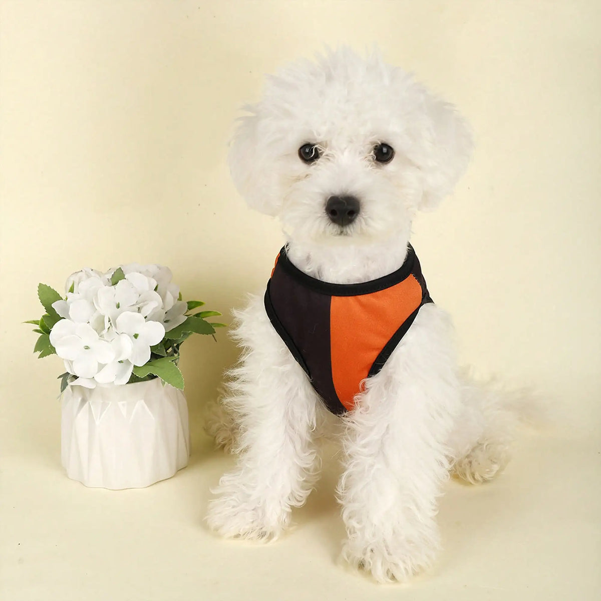 Pumpkin Print Dog Costume Shirt For Holiday Festival Parties