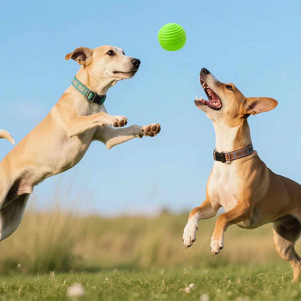 Premium Silicone Interactive Chew Toy Balls For Pets 4 Pack