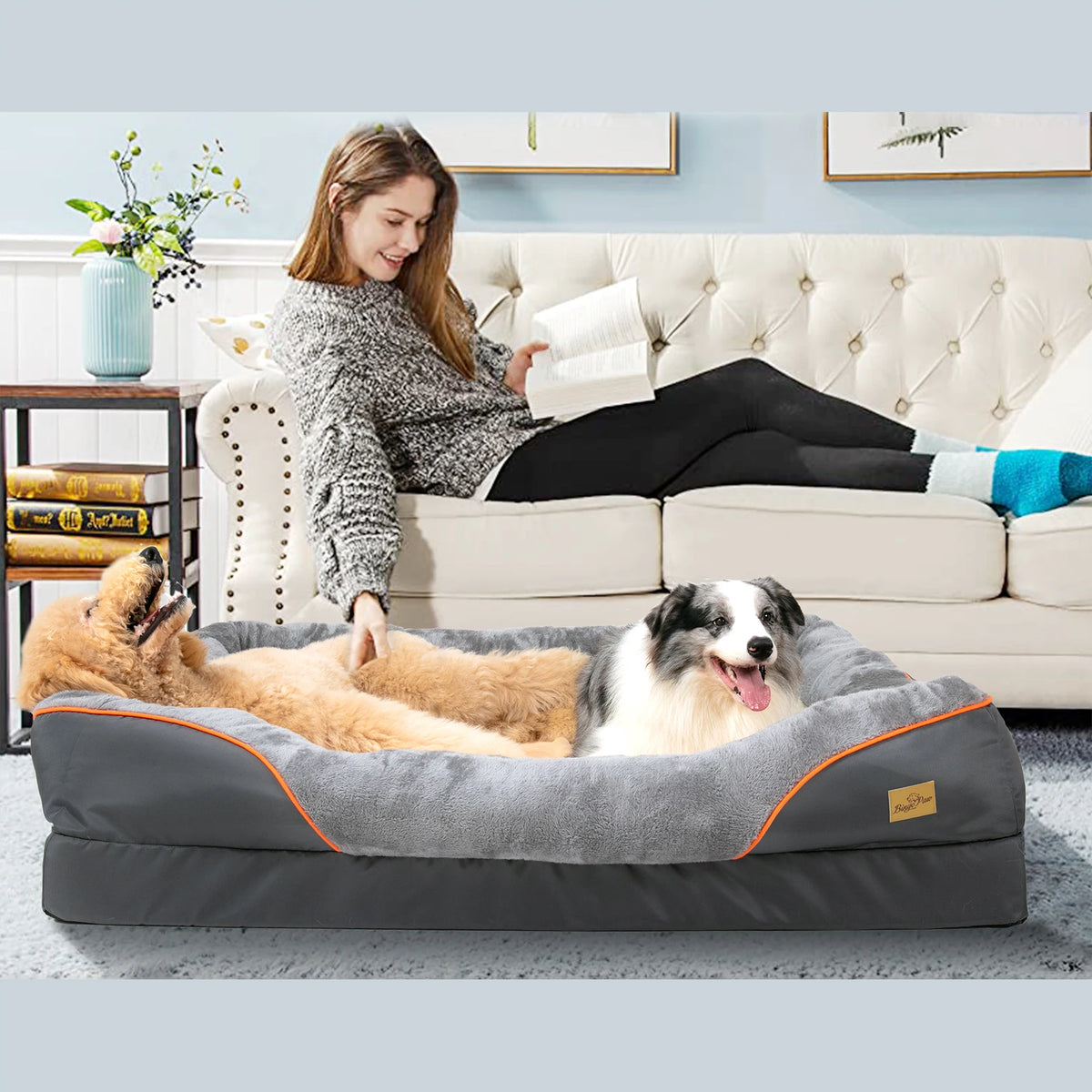 BINGOPAW Waterproof Washable Foam Dog Bed With Removable Cover