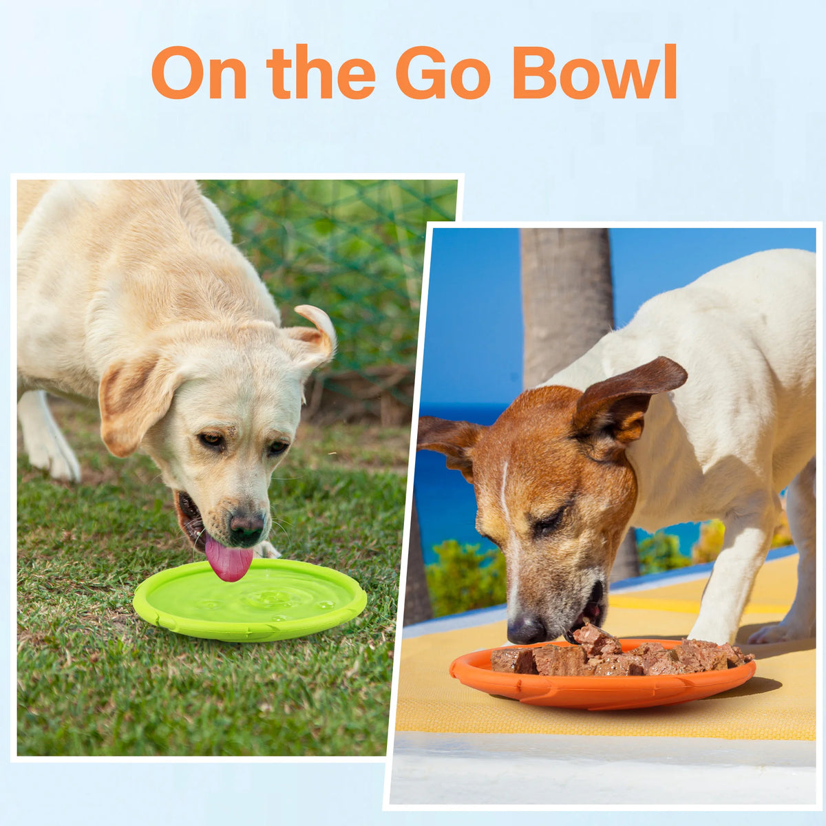 Durable Rubber Dog Flying Disc For Outdoor Pool And Beach