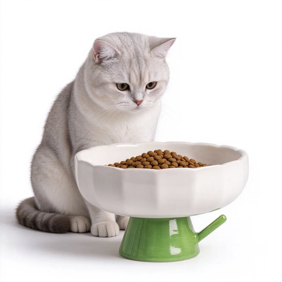 Elevated Ceramic Cat Bowl With Slanted Rim And Glossy Finish