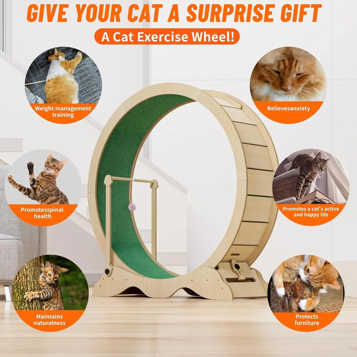 Studyset Indoor Cat Exercise Wheel Quiet Rollers Carpeted Runway Teaser