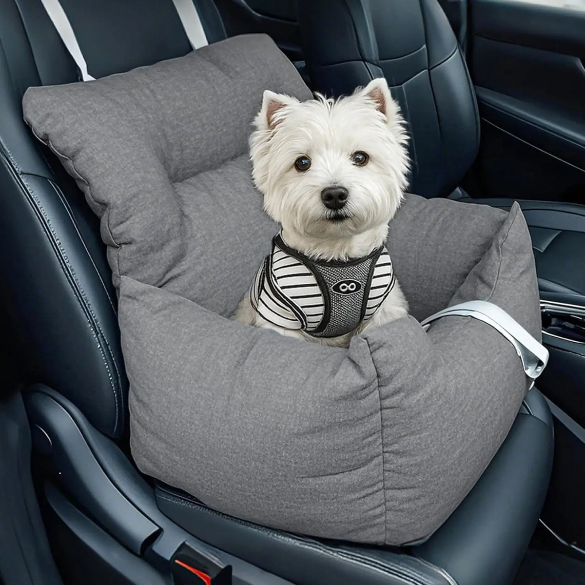 HiMiss Elevated Dog Booster Seat Features Tether And Washable Cushion