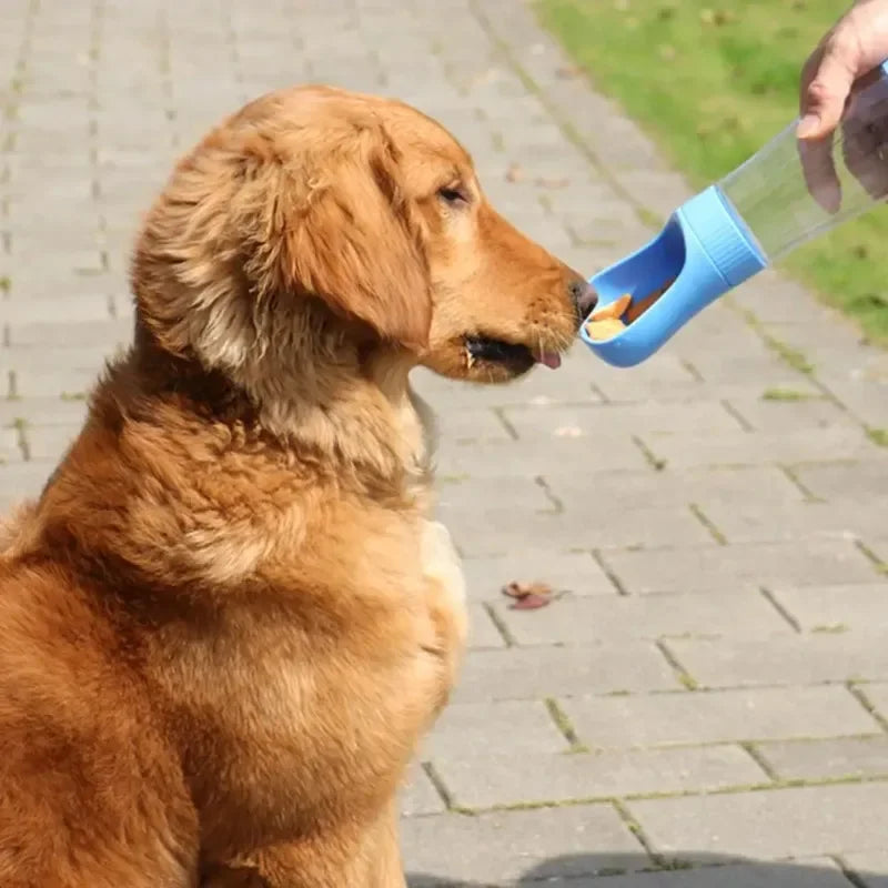 Glass Pet Water And Food Dispenser Bottle Portable For Dogs