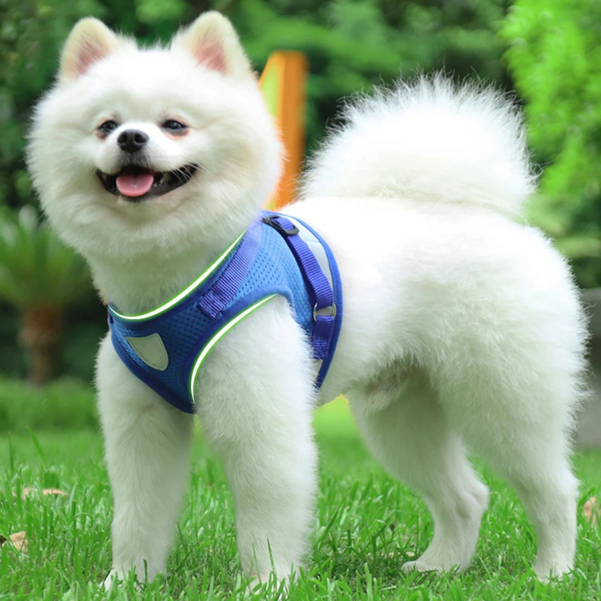 Adjustable Reflective Mesh Dog Harness Vest With Safety Leash