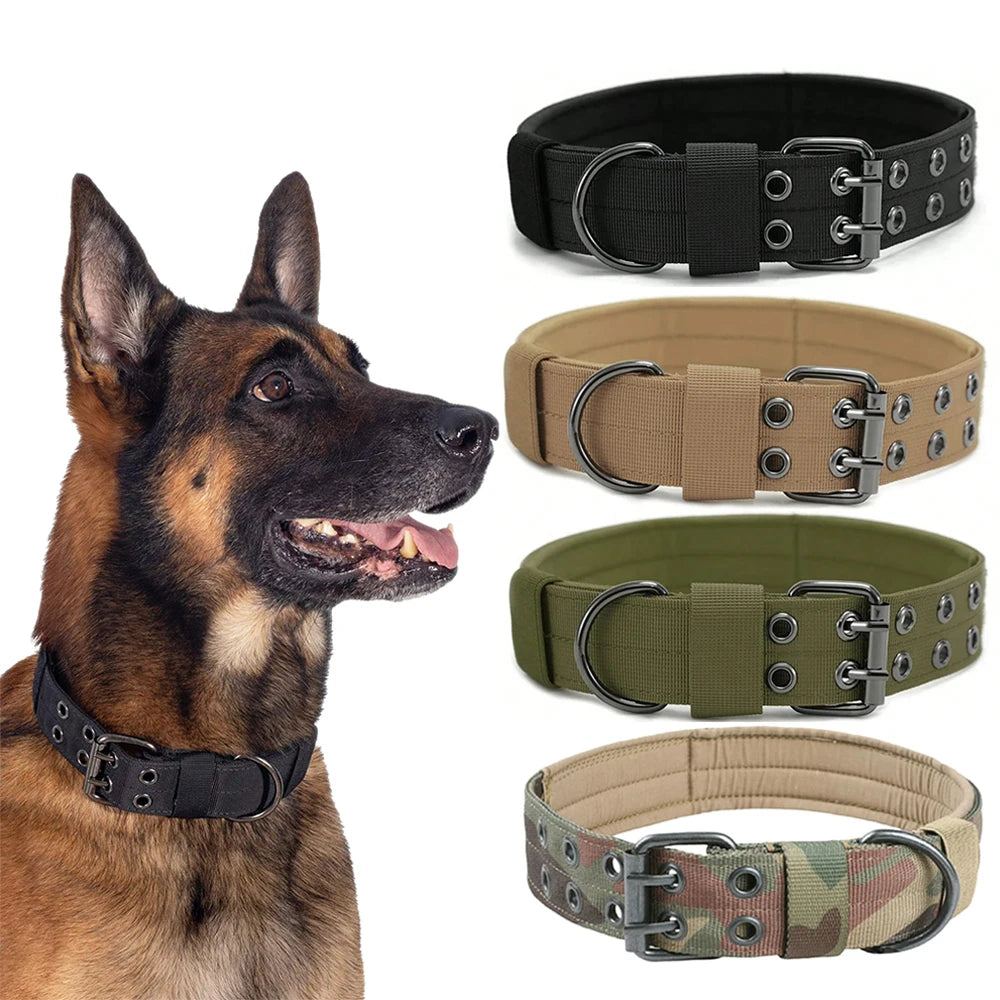 Durable Nylon Tactical Dog Collar for Training and Outdoor Use