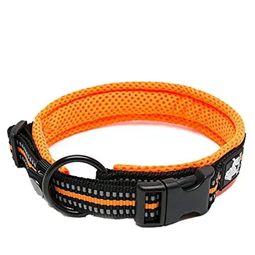 Truelove Reflective Padded Adjustable Nylon Dog Collar
