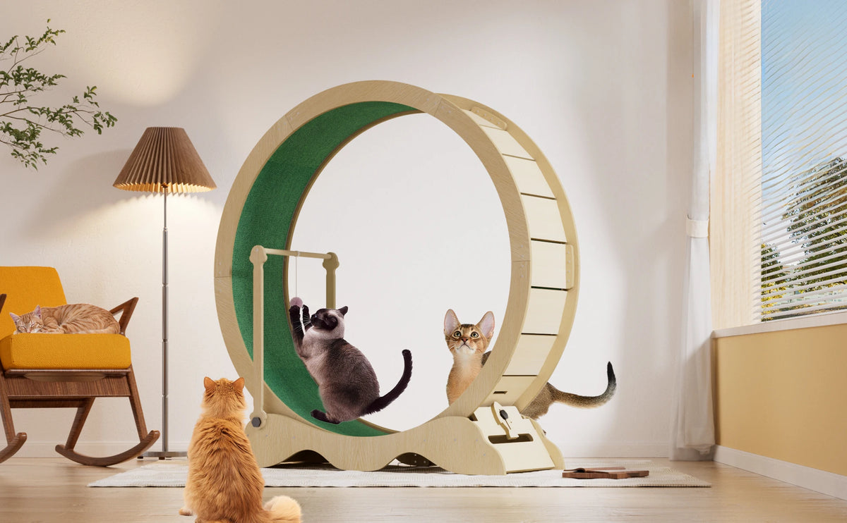 Wooden Cat Exercise Wheel Quiet Floor Mount With Carpet Treadmill