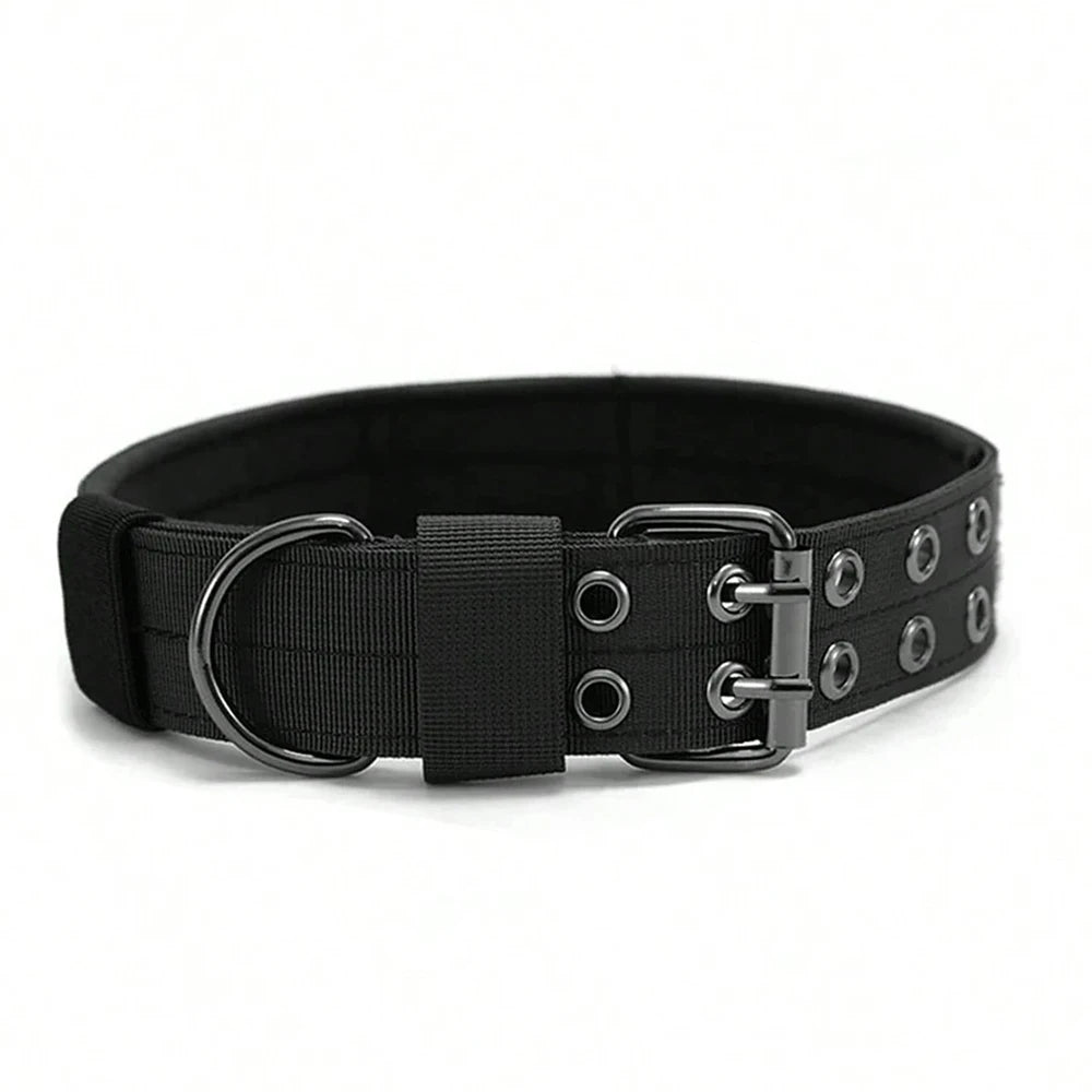 Durable Nylon Tactical Dog Collar for Training and Outdoor Use