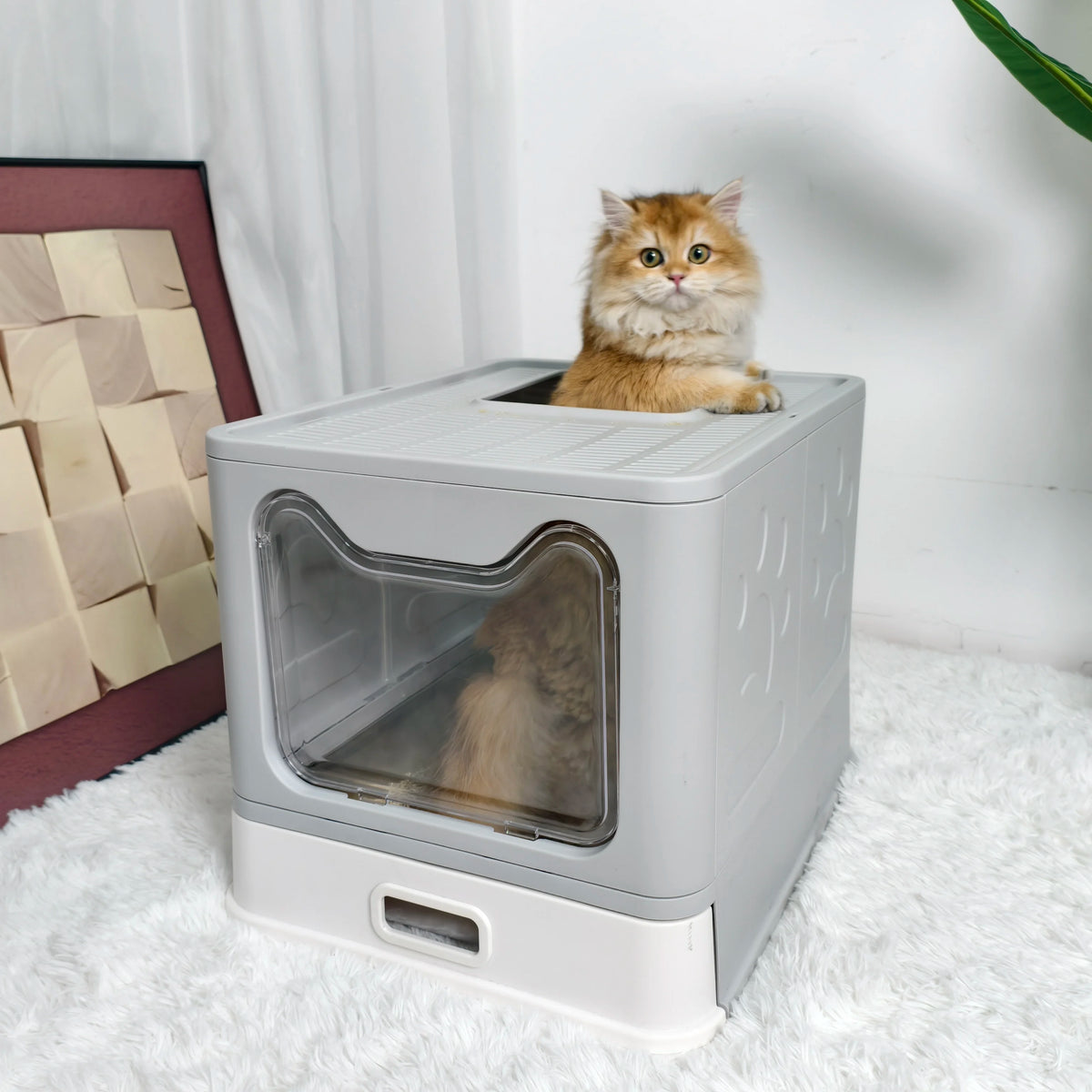 Enclosed Cat Litter Box Front Entry Top Exit Includes Scoop