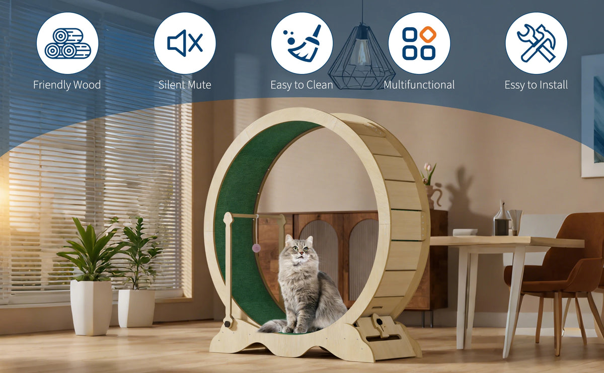 Wooden Cat Exercise Wheel Quiet Floor Mount With Carpet Treadmill