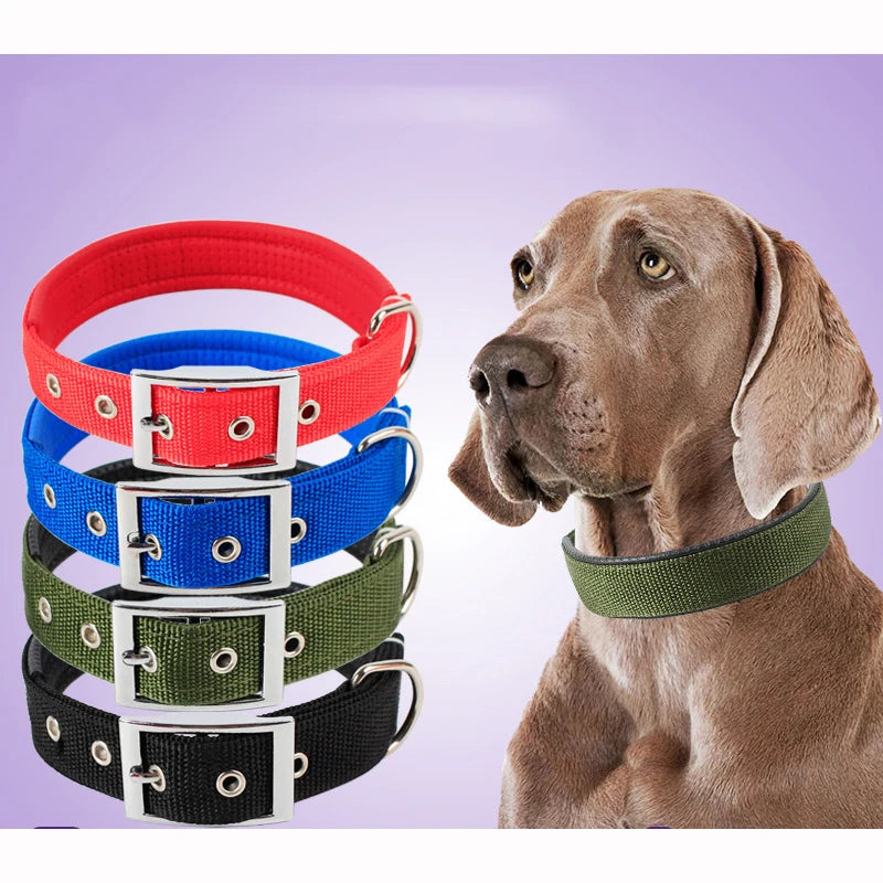 Solid Nylon Dog Collar For Comfortable Everyday Wear