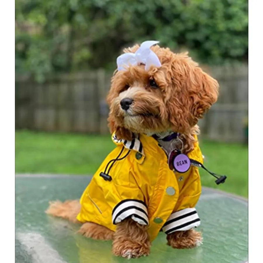 Water Resistant Dog Raincoat With Adjustable Hood Design