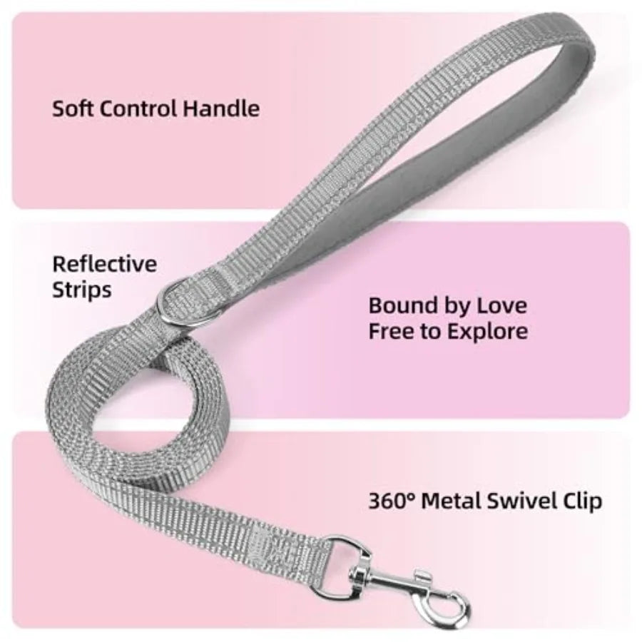 Reflective Breathable Puppy Dog Harness And Leash Set