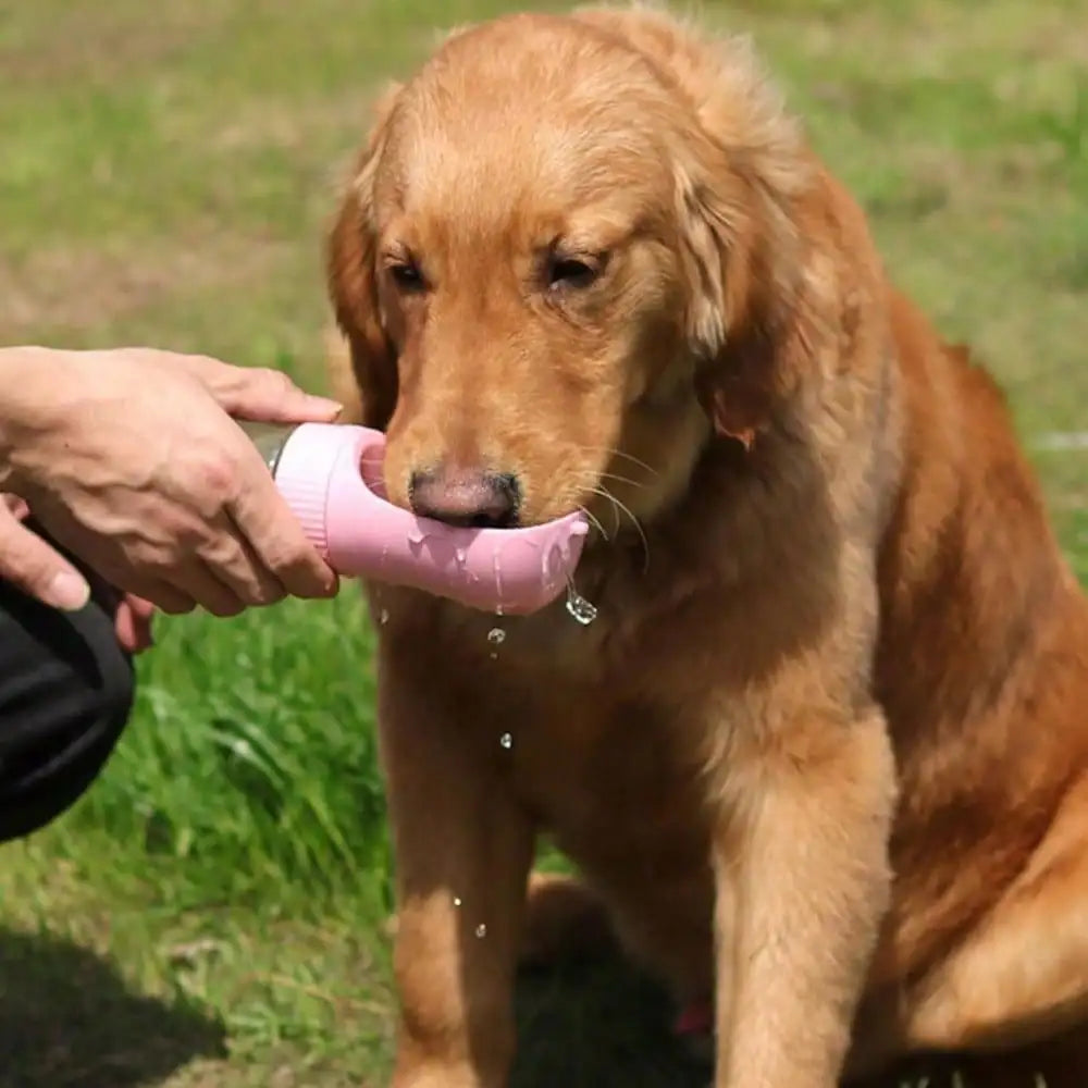 Portable Dog Water Bottle And Food Dispenser For Outdoor Adventures