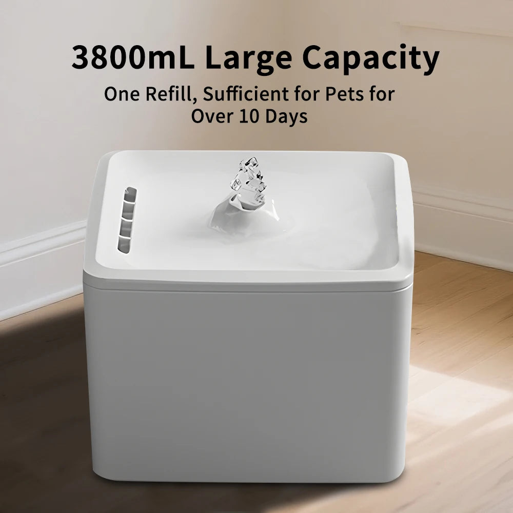 Easy Clean Square Pet Water Feeder For Cats And Dogs