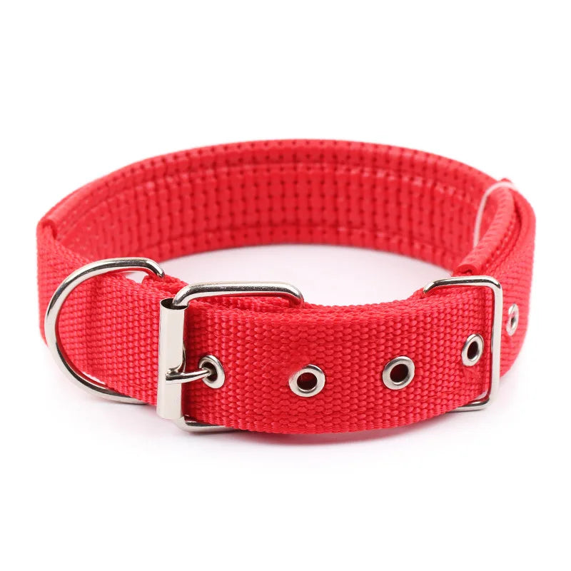 Solid Nylon Dog Collar For Comfortable Everyday Wear