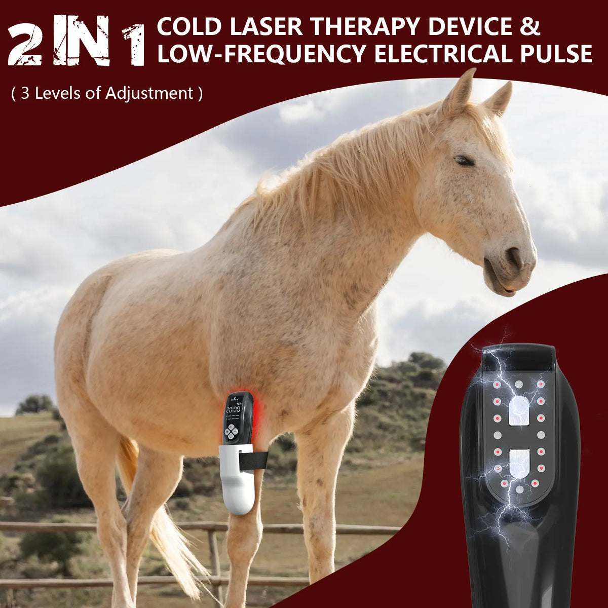 Portable 808nm Laser Red Light Therapy Device For Joint Relief