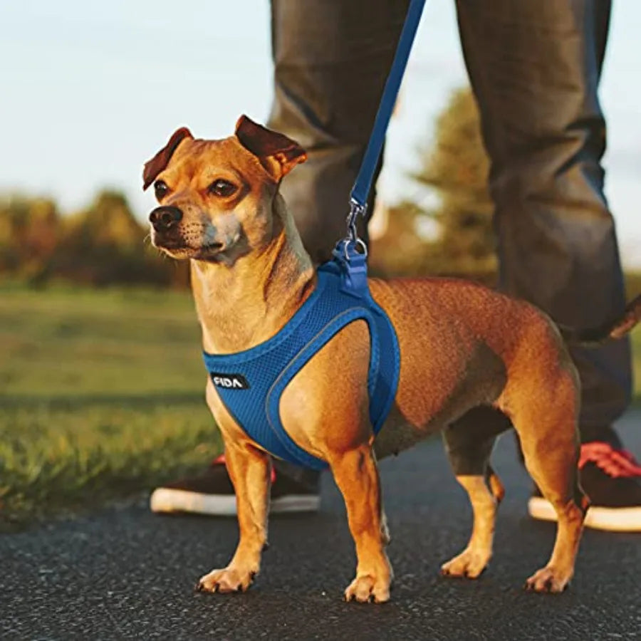 Breathable Soft Mesh Dog Harness With Adjustable Leash