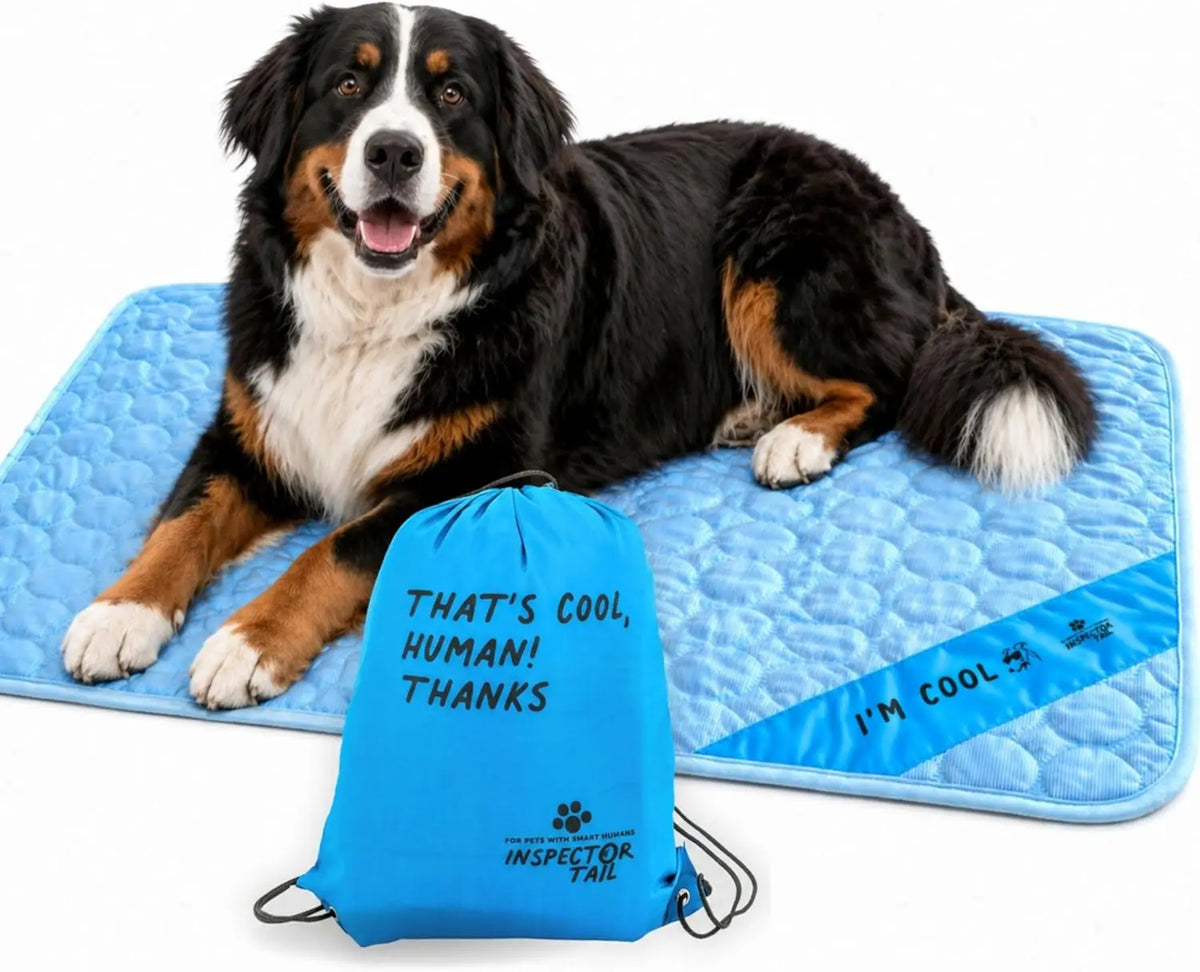 Waterless Self Cooling Dog Mat For Indoor And Outdoor Use
