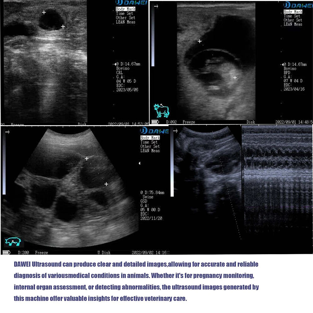 DAWEI Portable Veterinary Ultrasound Scanner For Livestock Pregnancy Testing