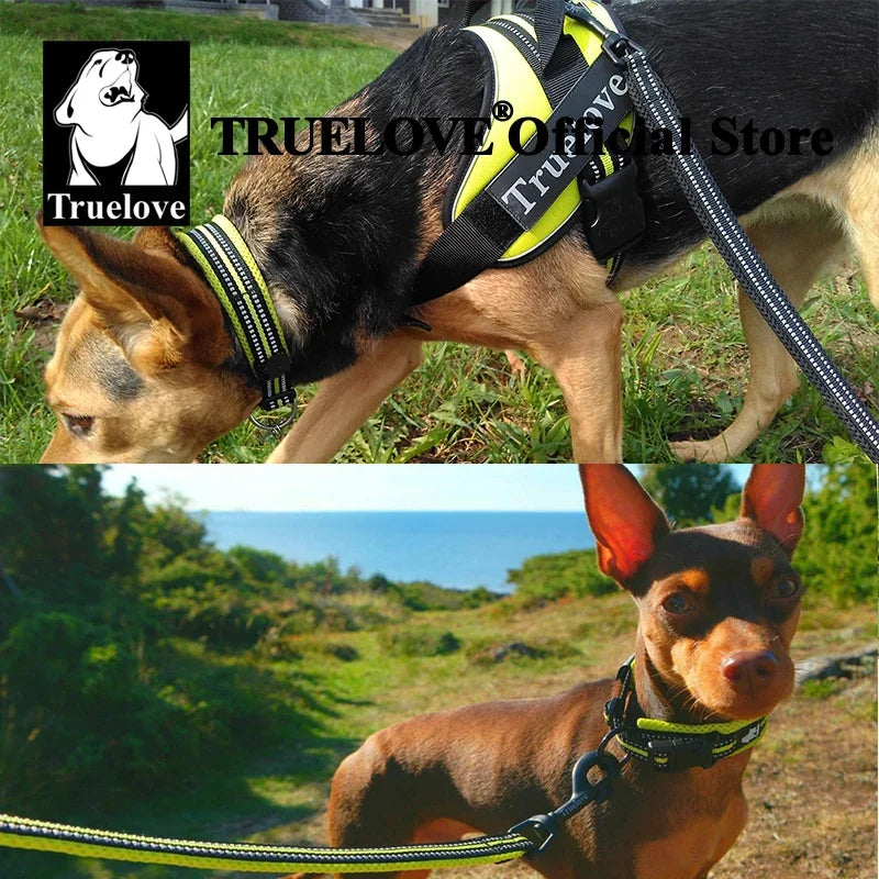 Truelove Reflective Padded Adjustable Nylon Dog Collar