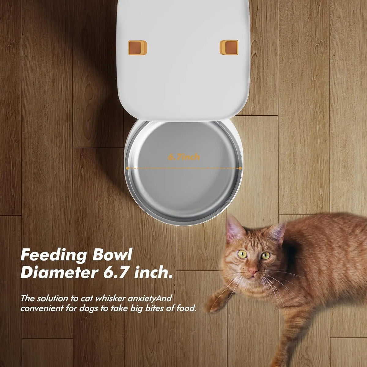 Nityers Automatic Pet Feeder With Voice Recording And Stainless Bowl
