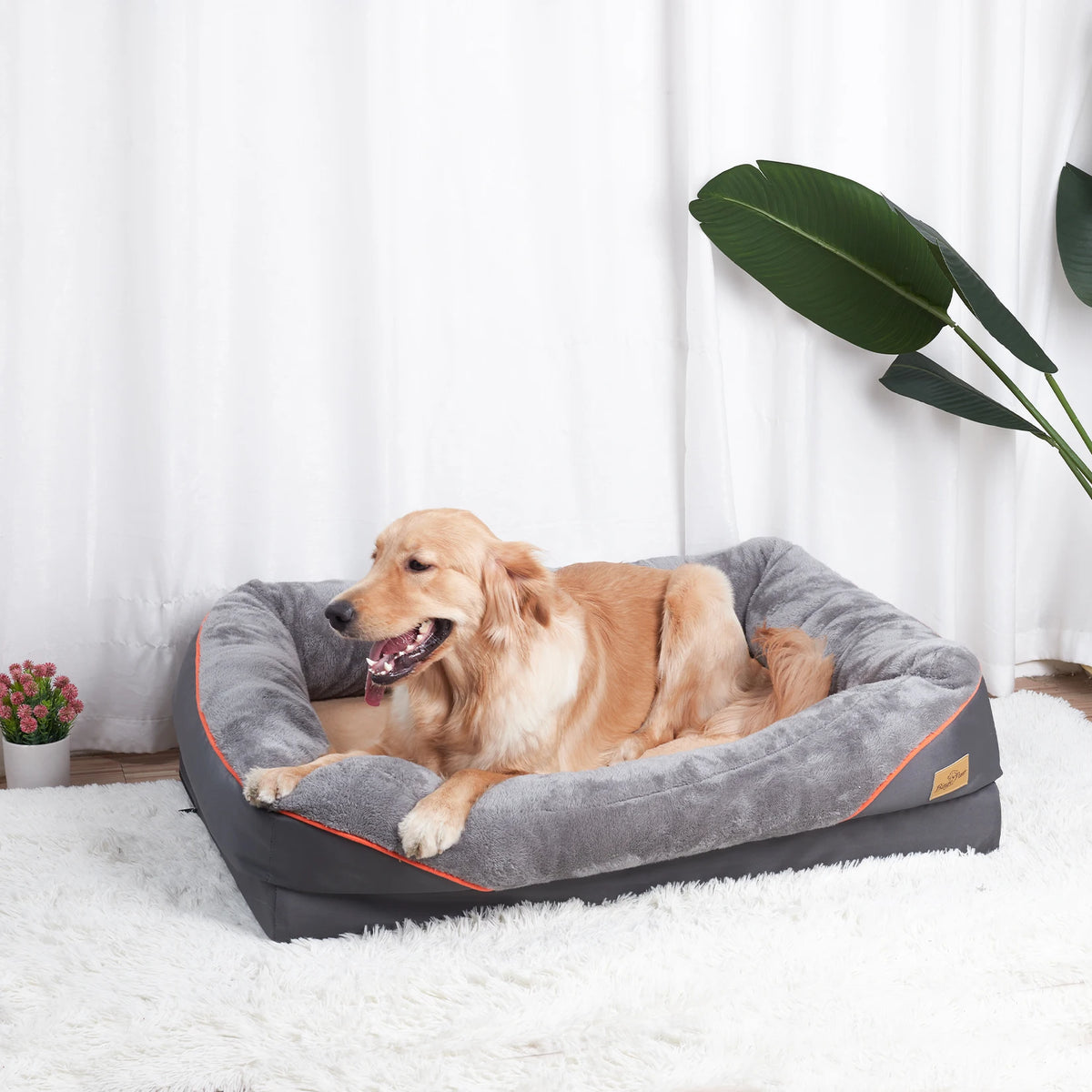 BINGOPAW Waterproof Washable Foam Dog Bed With Removable Cover