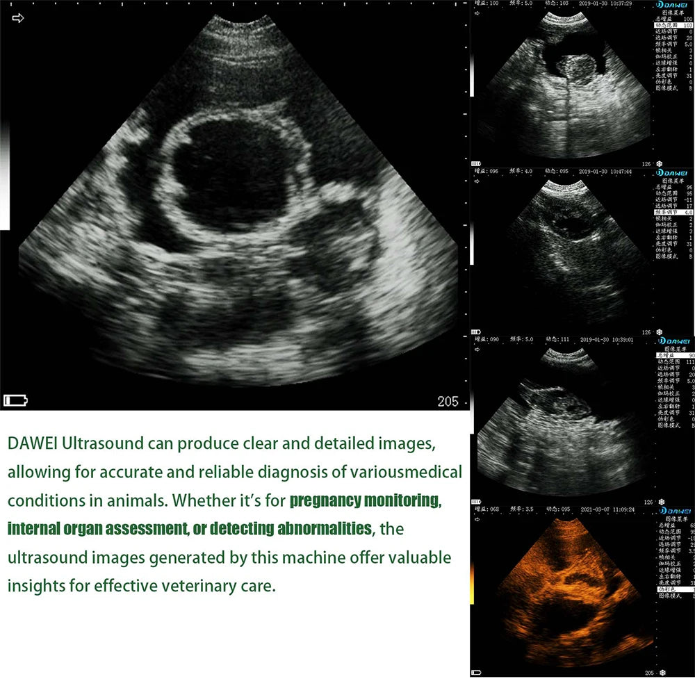Dawei Portable Veterinary Ultrasound Pregnancy Detection Scanner