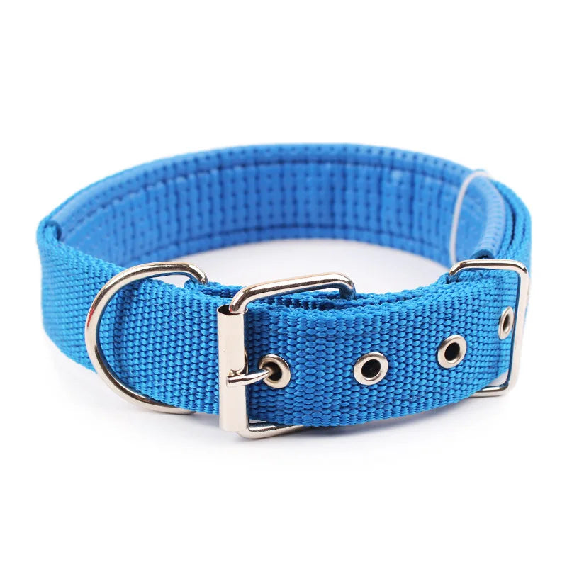 Solid Nylon Dog Collar For Comfortable Everyday Wear