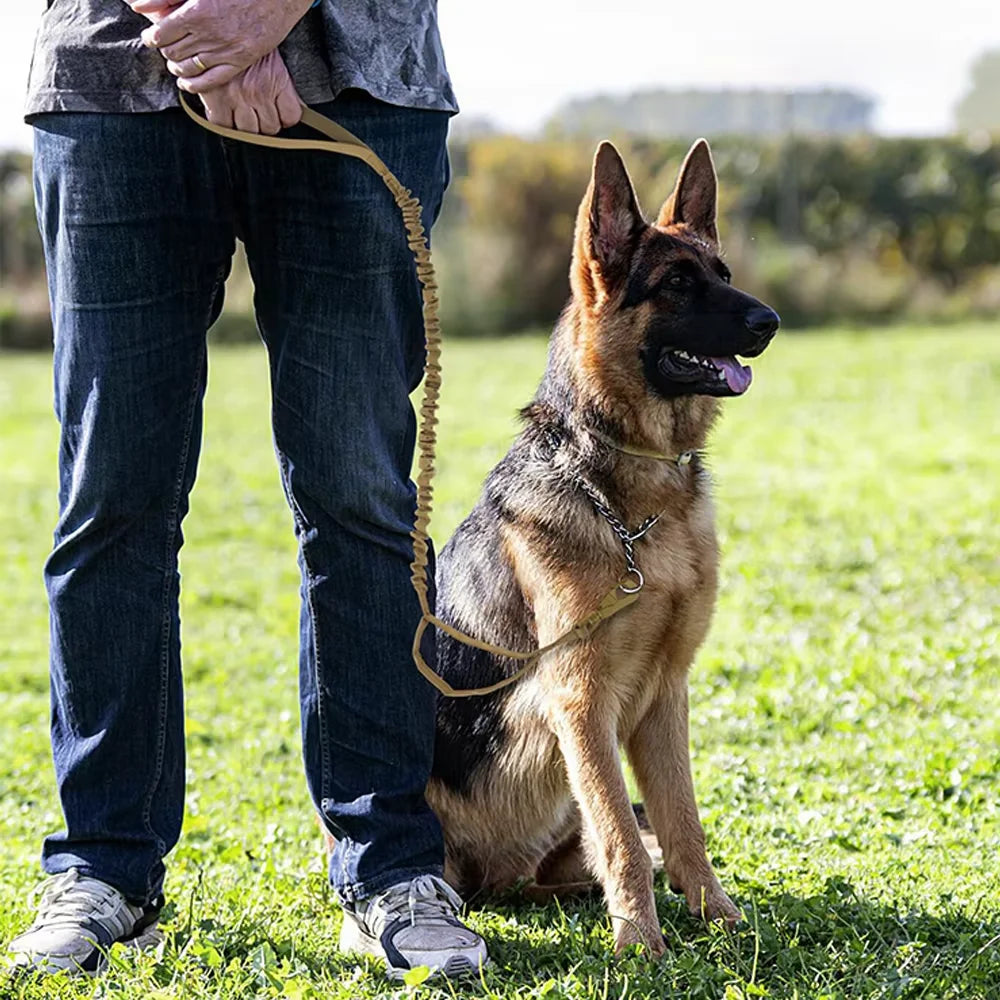 Petravel Adjustable Quick Release Double Handle Nylon Dog Leash