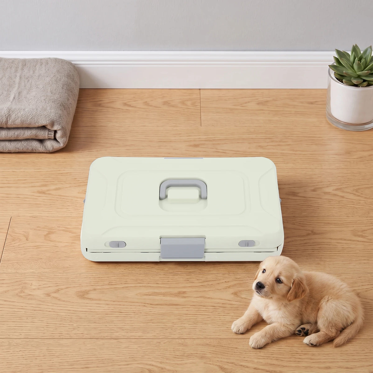 Foldable Portable Pet Carrier With Breathable Clear Window