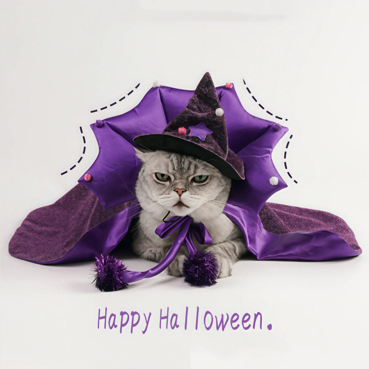 Premium Pet Witch Costume With Cloak And Hat For Cats