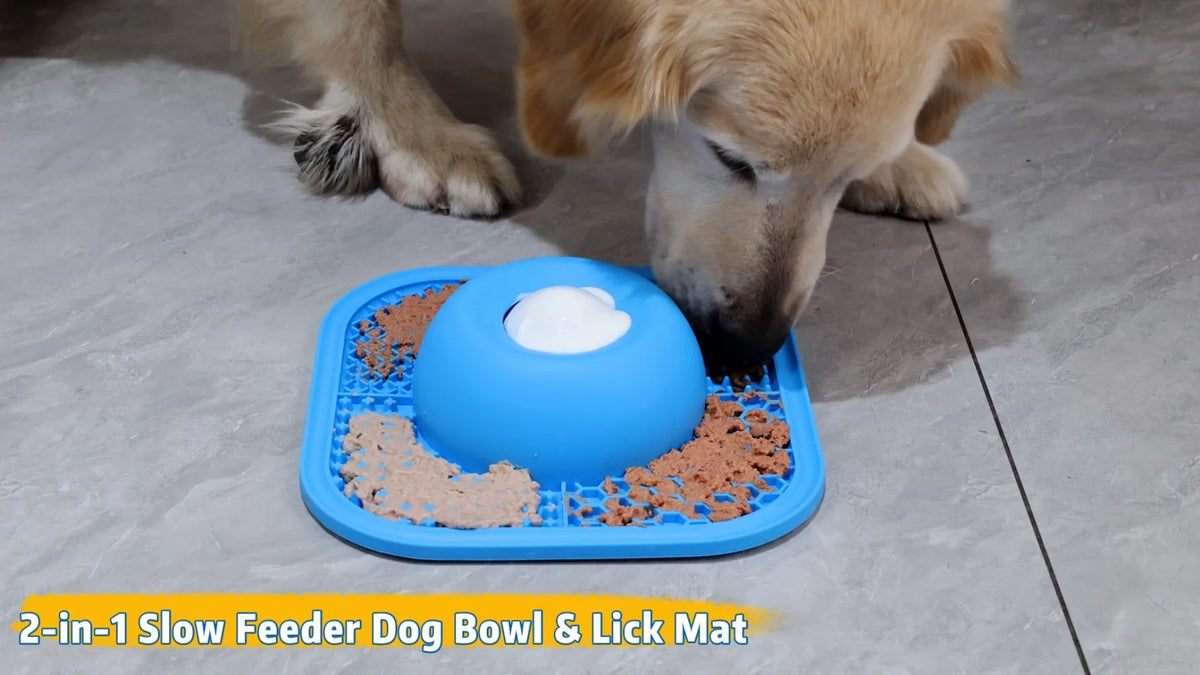 Slow Feeder Dog Bowl And Lick Mat With Interactive Ball