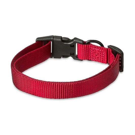 Adjustable Solid Polyester Dog Collar Providing Reliable Daily Wear