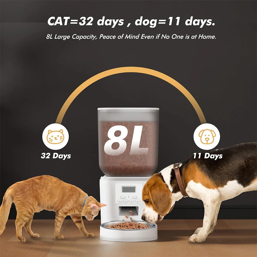 Nityers Automatic Pet Feeder With Voice Recording And Stainless Bowl