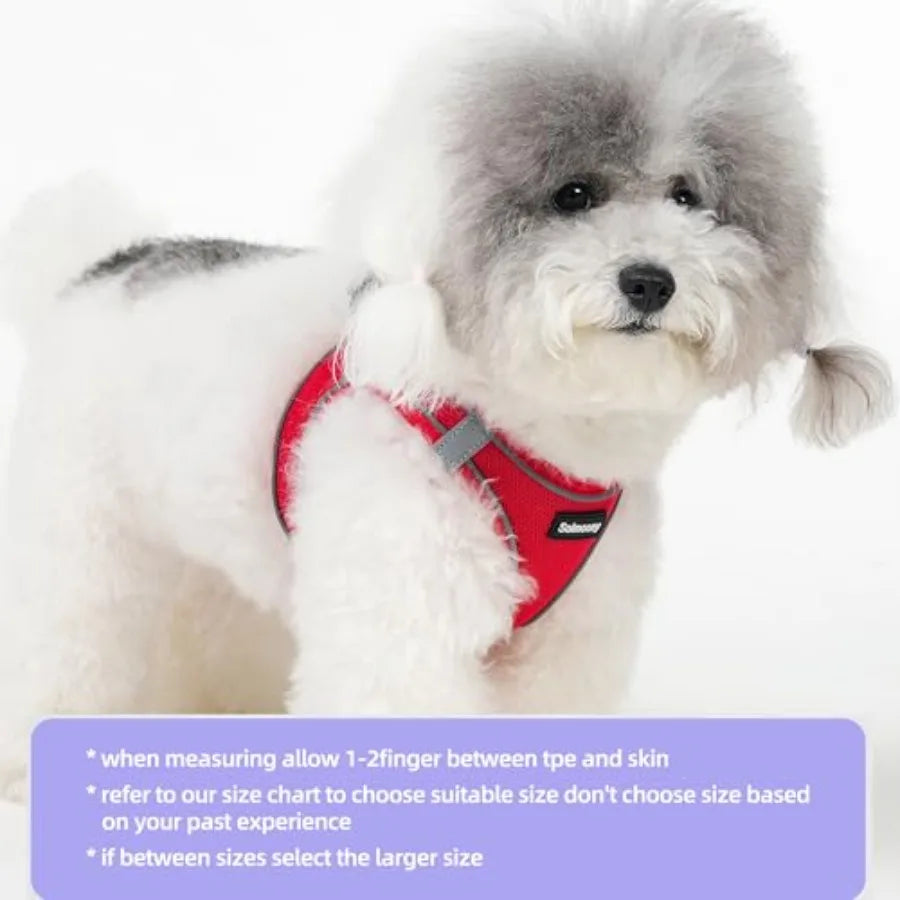 Reflective Breathable Puppy Dog Harness And Leash Set