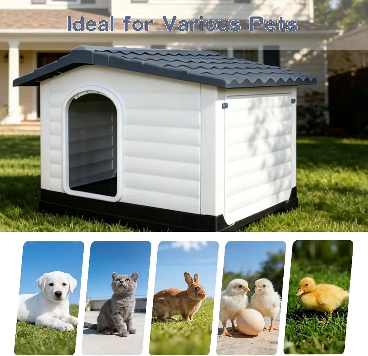 Twister Ck Two Door Elevated Waterproof Indoor Outdoor Dog House