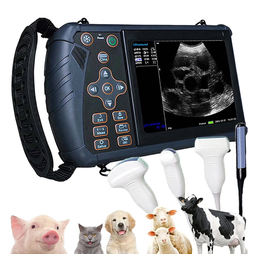 DAWEI Portable Veterinary Ultrasound Scanner For Livestock Pregnancy Testing