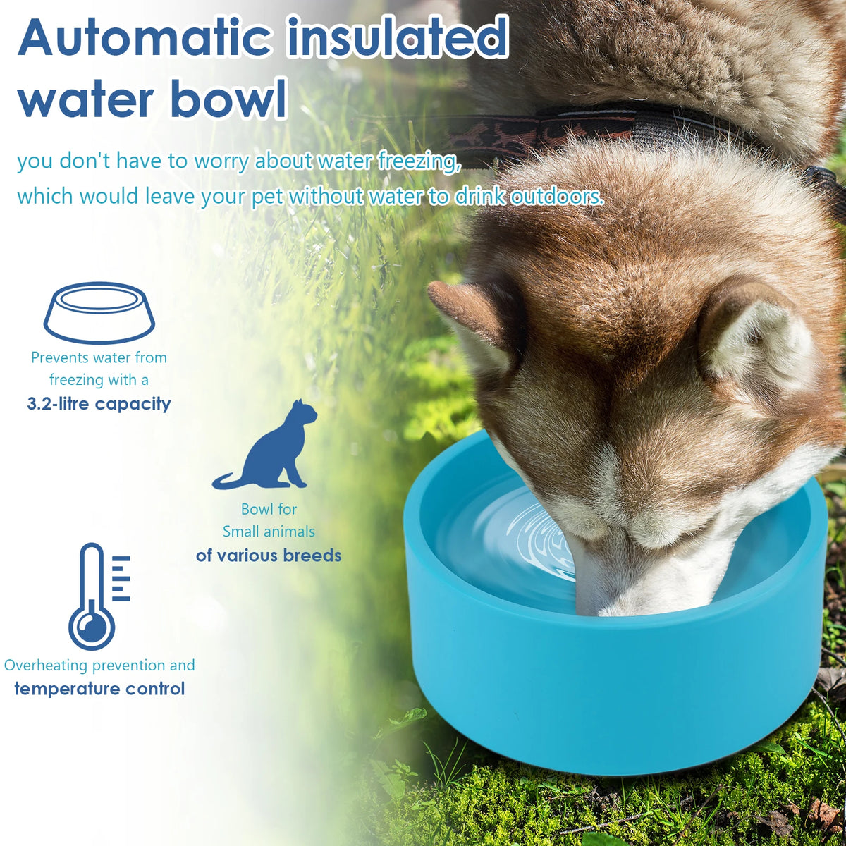 Atoutin Freeze Resistant Heated Electric Pet Water Bowl