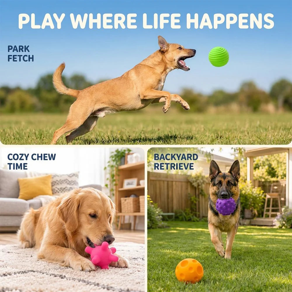 Premium Silicone Interactive Chew Toy Balls For Pets 4 Pack