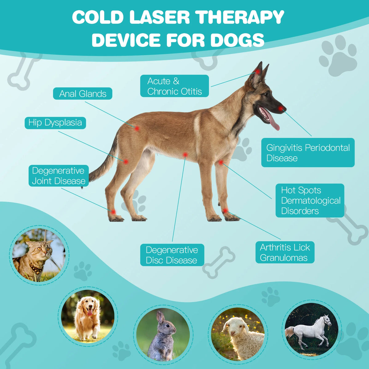 Portable Pet Cold Laser Therapy Device For Joint Pain Relief