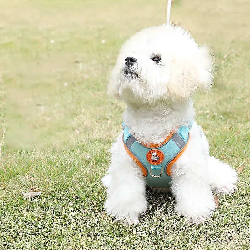 Adjustable No Pull Dog Harness With Matching Walking Leash Set